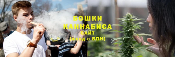 метадон Белокуриха