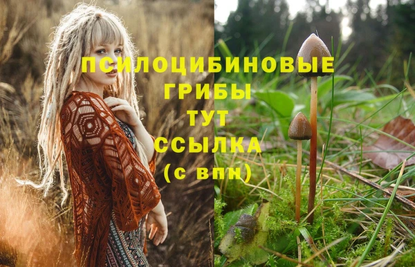 spice Беломорск