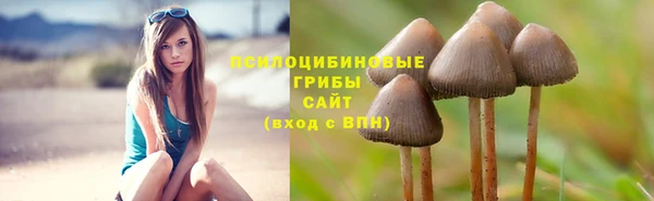 spice Беломорск