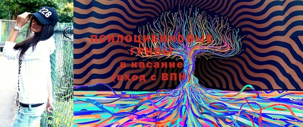 твердый Белоозёрский