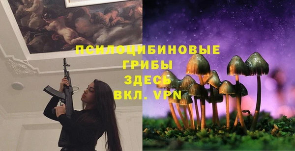 spice Беломорск