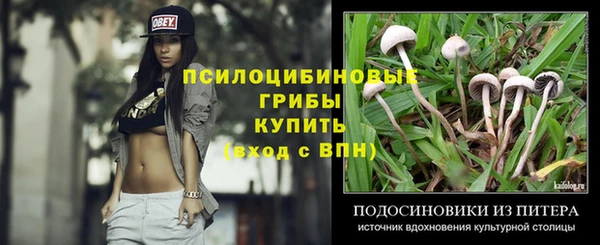 метадон Белокуриха