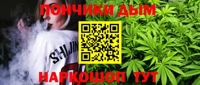 гидра Можга